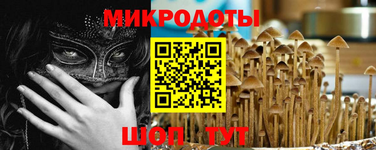 Спасск-Дальний  Псилоцибиновые грибы Psilocybine cubensis  Вход с VPN 